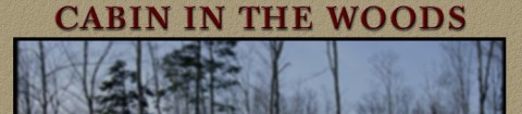 CAMPING DANS LES BOIS/CAMPING IN THE WOODS