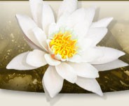 Centre de sant� L'�closion (L�vis)