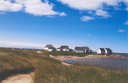 CAMPING MUNICIPAL CHEMIN FAISANT