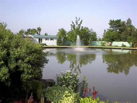 CAMPING CENTRE NATURE OASIS