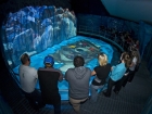 L'exp�rience virtuelle vous emporte au coeur d'un glacier!